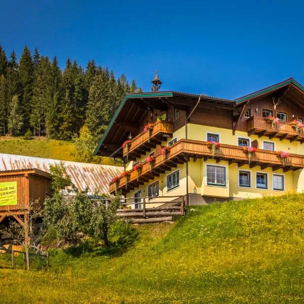 Hinteregghof, hotel v destinaci Forstau