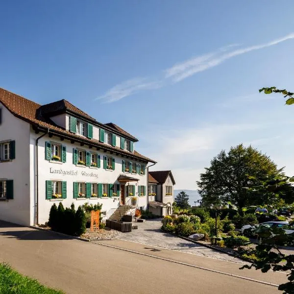 Hotel Wassberg, hotel in Obermeilen