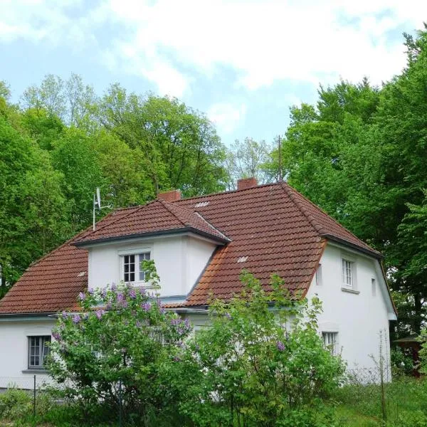 Ferienwohnungen & Bungalow Karlchen, hotel in Korswandt