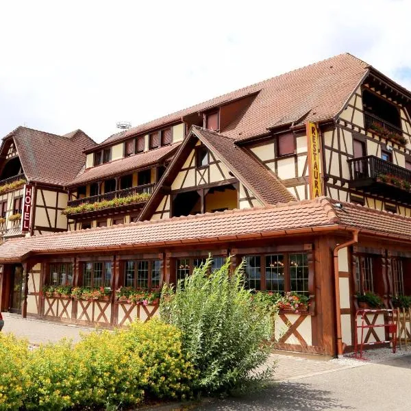 Hotel Au Parc des Cigognes, hotel en Dambach-la-Ville