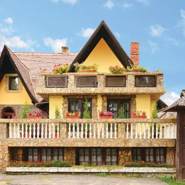 Pension Casa Aurora, ξενοδοχείο σε Vama