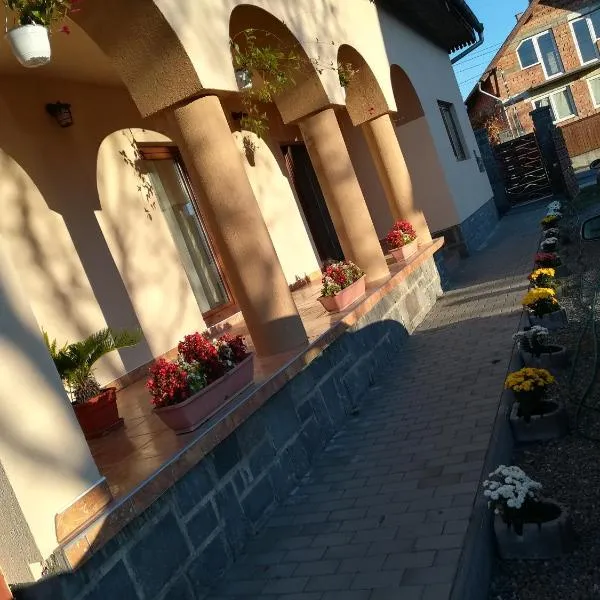 Nárcisz B&B, hotel v destinaci Corund