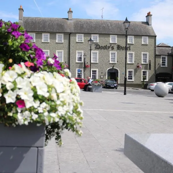 Dooly's Hotel, hotel v destinaci Birr