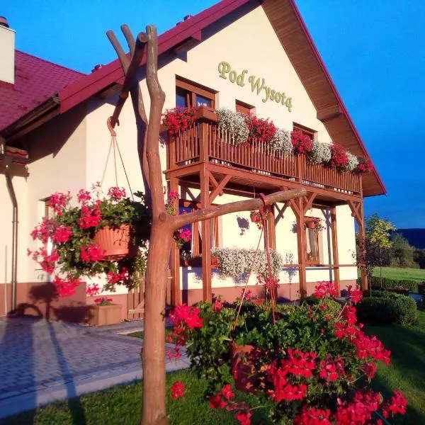 Pokoje Gościnne Pod Wysotą, hotel v destinácii Wysowa-Zdrój