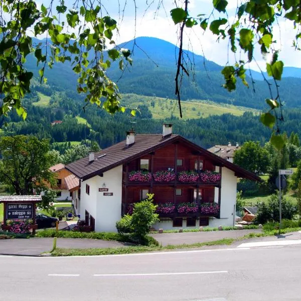 B&B Seppi, hotel v Cavalese