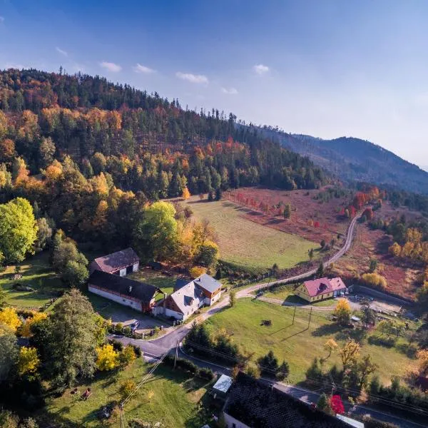 Gospodarstwo Gościnne Jesionówka, hotel en Goworów