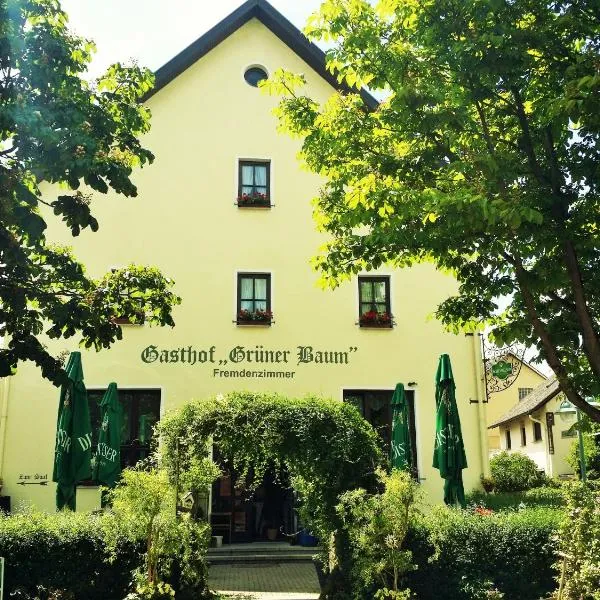 Hotel-Landgasthof Grüner Baum - Dittigheim, hotel in Tauberbischofsheim