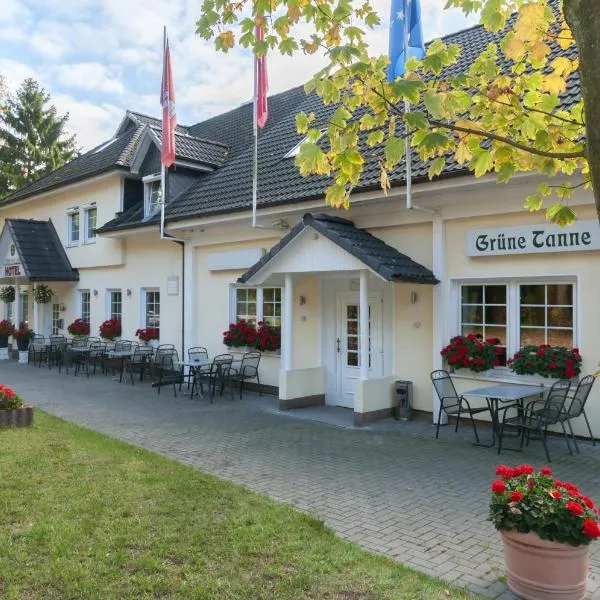 Hotel Grüne Tanne, hotell sihtkohas Wilstorf