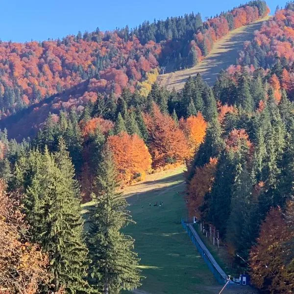 Garden Apart Predeal, hotel em Predeal