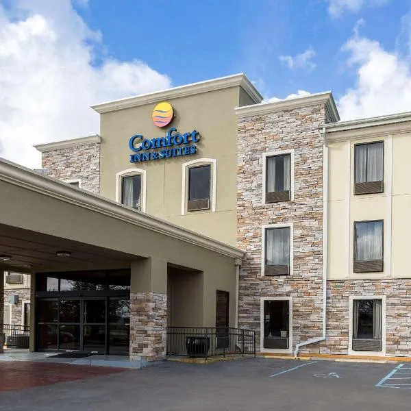 Comfort Inn & Suites Airport, hotel em Zachary