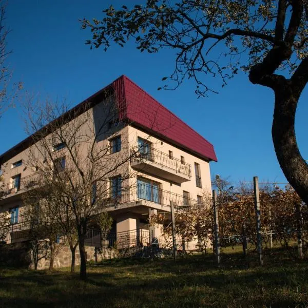 Panoramic, hotel in Baia-Sprie