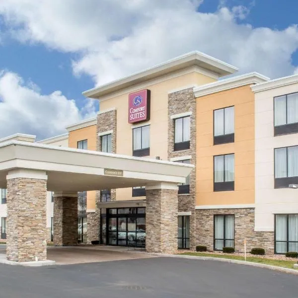 Comfort Suites Cicero - Syracuse North, hotel em Brewerton