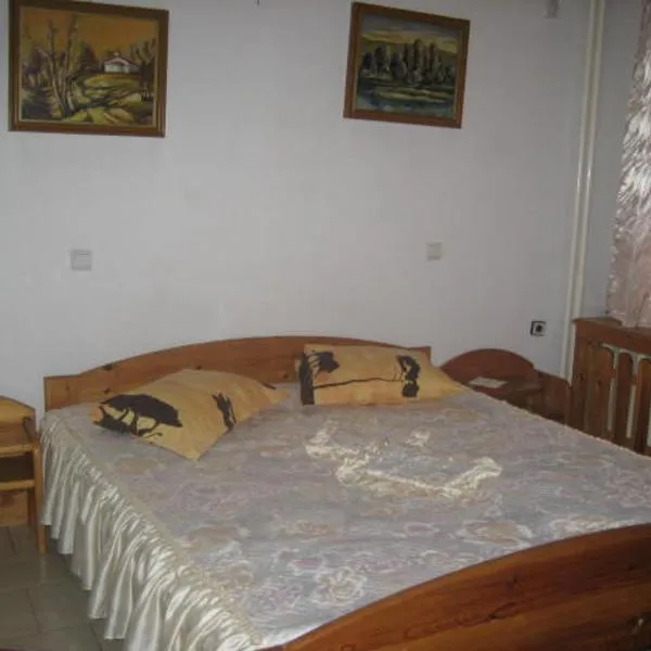 Hotel Mishel, hotel v destinaci Kocherinovo