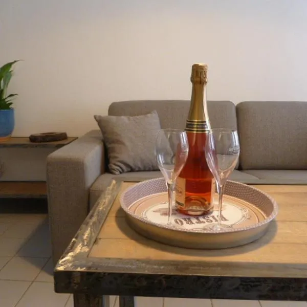 Cottage AU TERMINUS, ξενοδοχείο σε Hautvillers