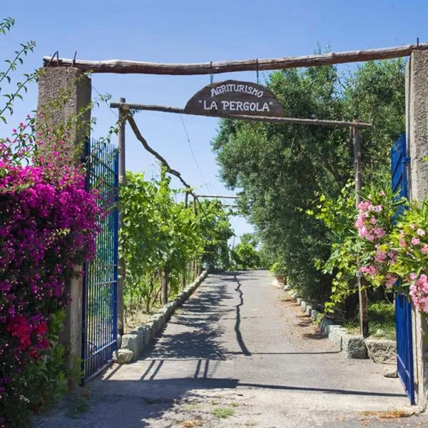Agriturismo La Pergola, hotel in Ischia