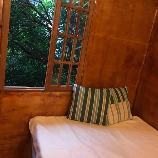 Casa na Árvore - Foto 2