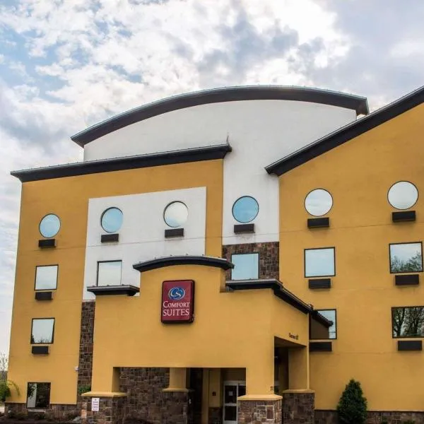 Comfort Suites, hotel v destinaci Monroeville