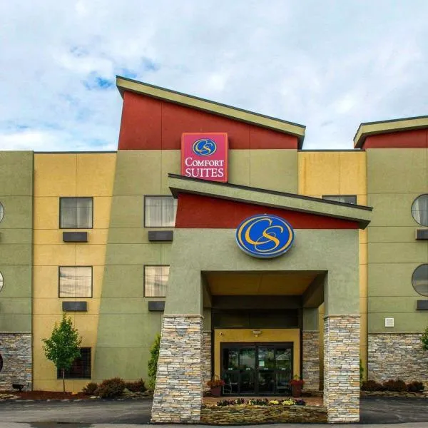 Comfort Suites, hotel in Beaver Falls