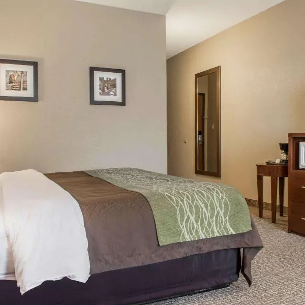 Comfort Inn Edinburg South, hotel v destinaci Edinburg