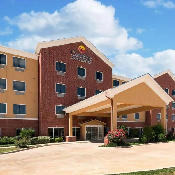 Comfort Inn & Suites Regional Medical Center、アビリーンのホテル