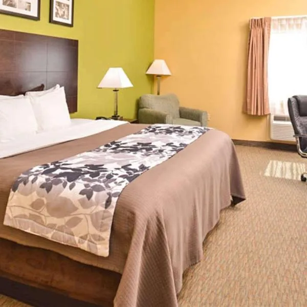 Sleep Inn & Suites Downtown Houston Near Convention Center,休斯頓的飯店
