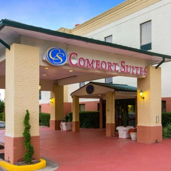 Comfort Suites Cumming-Atlanta near Northside Hospital Forsyth: Flowery Branch şehrinde bir otel