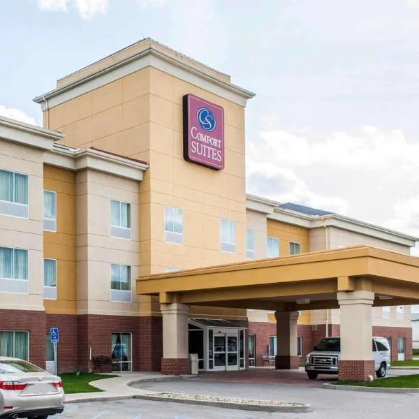 Comfort Suites near Indianapolis Airport, hotel in Indianapolis