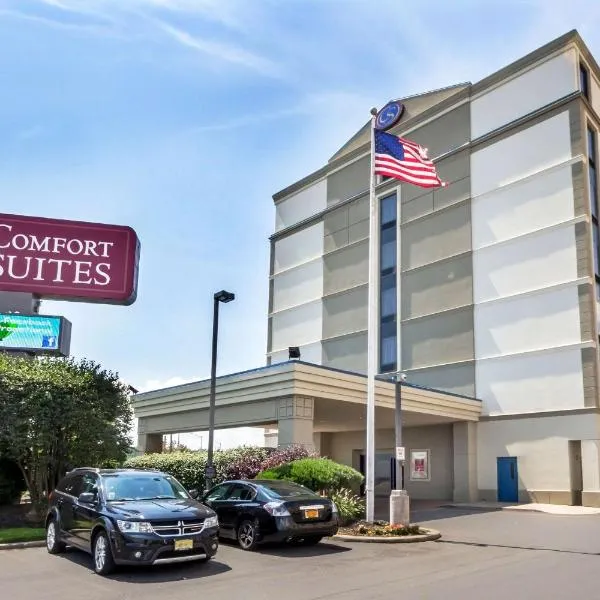 Comfort Suites at Woodbridge, hotel v destinaci Avenel