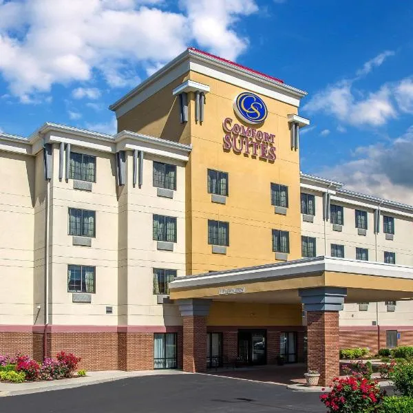 Comfort Suites Cincinnati North, hotel em Forest Park