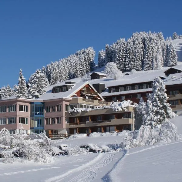 Ferien- und Familienhotel Alpina Adelboden, hotel v destinaci Adelboden