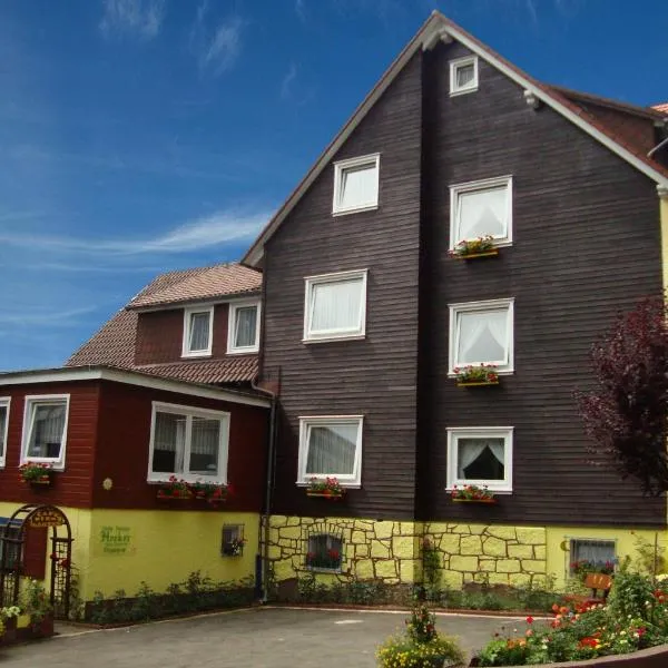 Hotel Hecker Braunlage, hotel i Braunlage