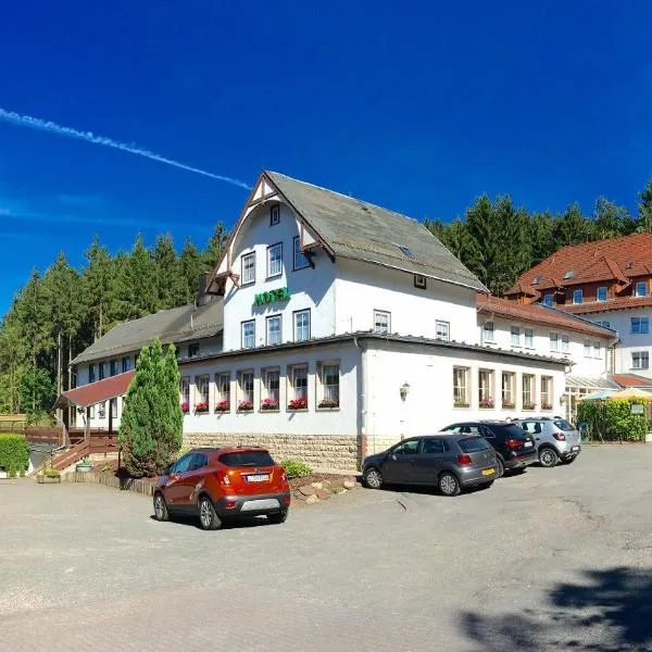 Hotel Rodebachmühle，格奧爾根塔爾的飯店