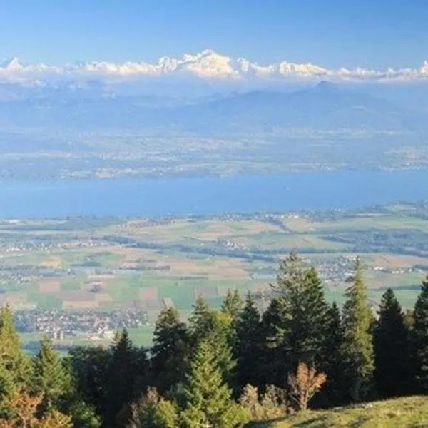 30C Route d'Arzier, hotel v destinaci Saint-Cergue