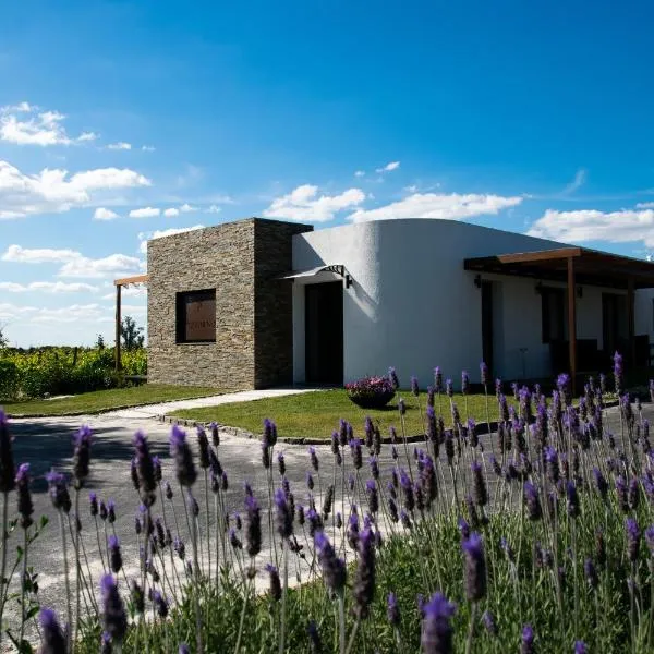 Pizzorno Lodge & Wine, hotelli kohteessa Progreso