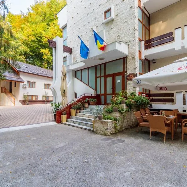 Former Ceausescu's Vila Crizantema, hotell sihtkohas Băile Govora