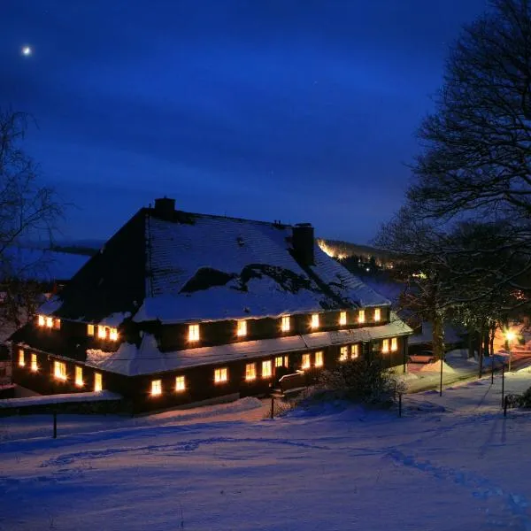 Verlegerhaus Seiffen, hotel in Kurort Seiffen