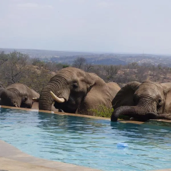 Mbizi Bush Lodge, hotel em Grietjie Game Reserve