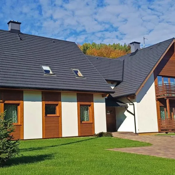 Apartamenty 58 Czarny Groń, hotel in Rzyki