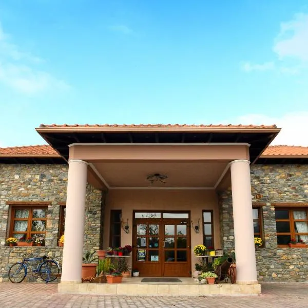 Hotel Epavlis, hotel v destinaci Káto Poróïa