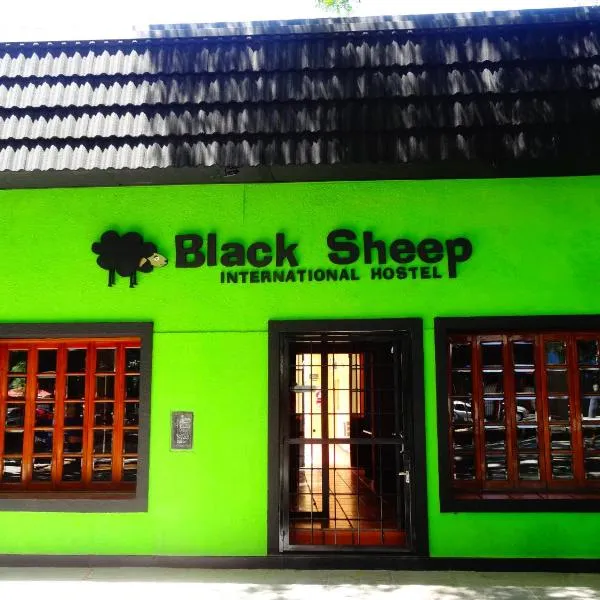 Black Sheep International Hostel, hotel v destinaci Mendoza