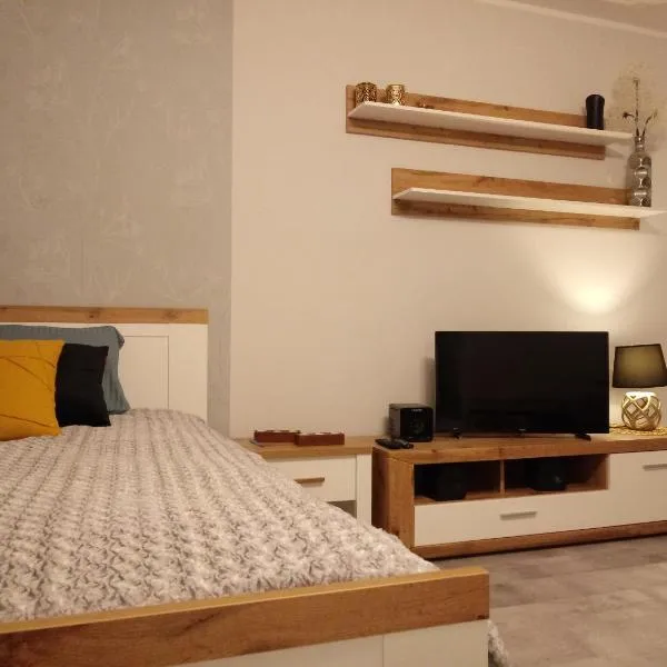 Apartament 27, hotel in Płock