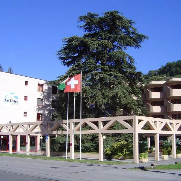 Hotel Le Cedre, hotel in Gryon