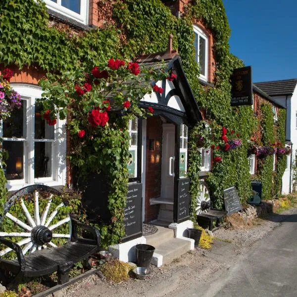 The Golden Lion Inn, hotel in Plâs-Llanrhydd