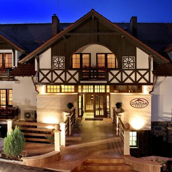 Hotel Dziki Potok Karpacz Konferencje & SPA, hotel v Karpaczi