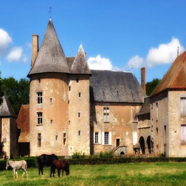 Château du Max, hotel v destinaci Le Theil