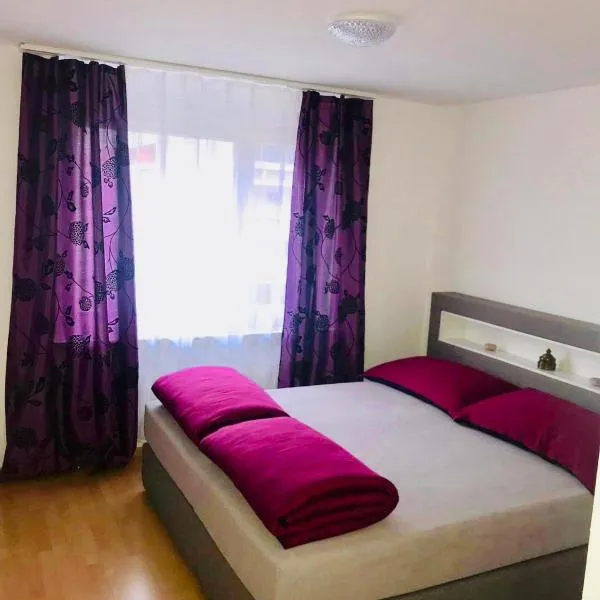 3 Room Premium Apartment Buchs SG, hôtel à Buchs