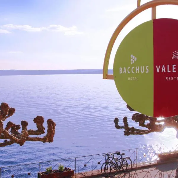 Hotel Bacchus Wine & Bites, hotel v destinaci Meersburg