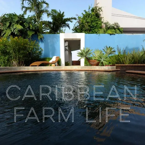 4 Casitas, hotel v destinaci Cabo Rojo