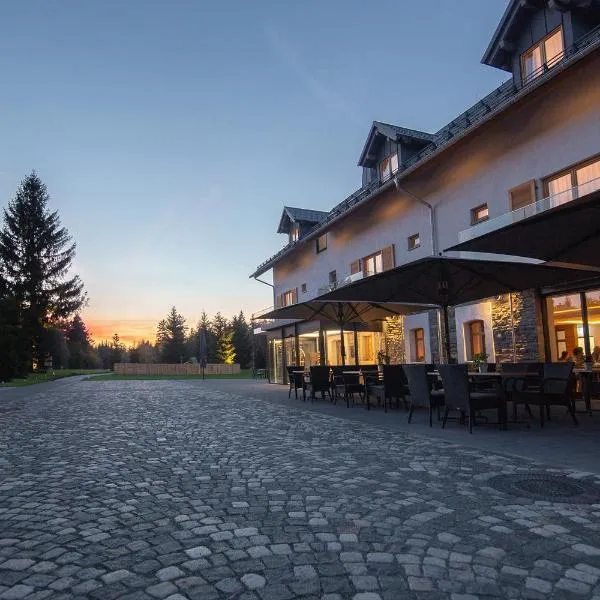 Hotel Tannenhaus, hôtel à Schöneck