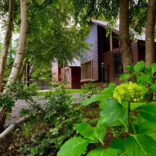 Cabañas Los Laureles - Lican Ray, hotel en Licán Ray